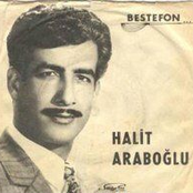 halit arapoĞlu