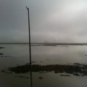 Goodluck, Summerduck!