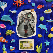 you sound like the dolphins!