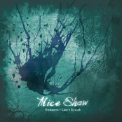 Reasons I Can't Speak