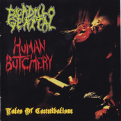 Picadillo Genital / Human Butchery