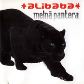 Melnā pantera