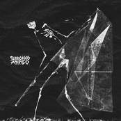 Nessuna Terra Su Cui Issare Bandiere