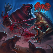 3 Types of Disfigurement