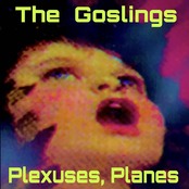Plexuses, Planes