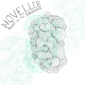 Paint on the Shadows