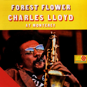 Charles Lloyd Quartet: Forest Flower: Charles Lloyd at Monterey