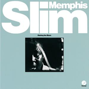 Nice Stuff by Memphis Slim