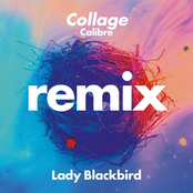 Lady Blackbird: Collage (Calibre Remix)