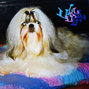 Lal Lal Lal Festival