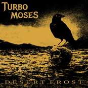 Desert Frost