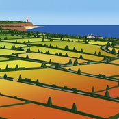 Nice Weather For Ducks