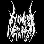 2007 Demo