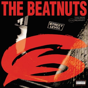 Straight Jacket by The Beatnuts