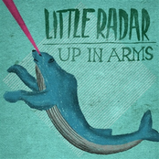 little radar