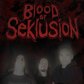 blood of seklusion