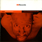 Jungle: The Extreme Collection