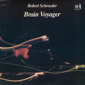 Brain Voyager