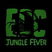 Jungle Fever - Single