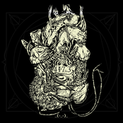 _​(​-​_​-​)​_