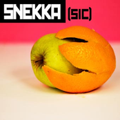 Snekka - [Sic] - 2008