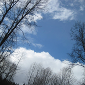 The Hidden Tracks : Volume Five