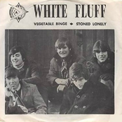 Vegetable Binge / Stoned Lonely