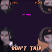Dont Trip ( Remix )