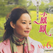 小鳳鳳福建經典金曲, Vol. 6