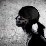 Scarlet Fades [Single]