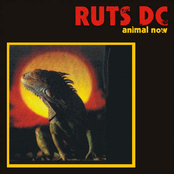 Fools by Ruts Dc