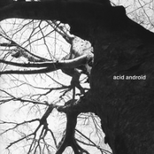 In Loops by Acid Android