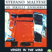Voices In The Wind