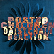 Poster Children: Daisychain Reaction