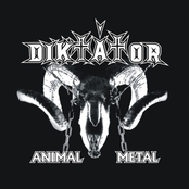 Animal Metal