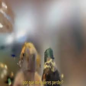 pq me quieres perder? - Single