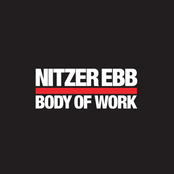 Captivate (william Orbit Mix) by Nitzer Ebb