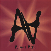 Adam's Attic