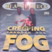 Creeping Through The Fog