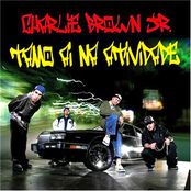 Di-sk8 Eu Vim by Charlie Brown Jr.