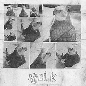 Njelk hat mein Leben zerstört - EP