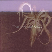 Feathers and Stars