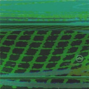 Morphogenetic Fields