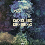 Cash Clouds Kush Bushes