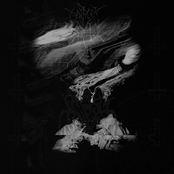 Perfect Beauty vs Crown of Twilight