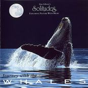 Journey With the Whales