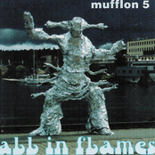 mufflon 5