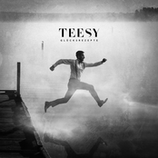 Danke by Teesy