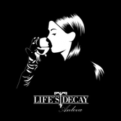 Madam by Life's Decay