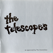 The Telescopes: As Approved by the Committee